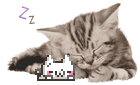 sticker over all images