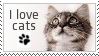 magical stamp