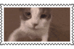 angelic stamp