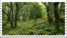 magical stamp