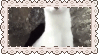 magical stamp