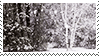 magical stamp
