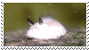 magical stamp